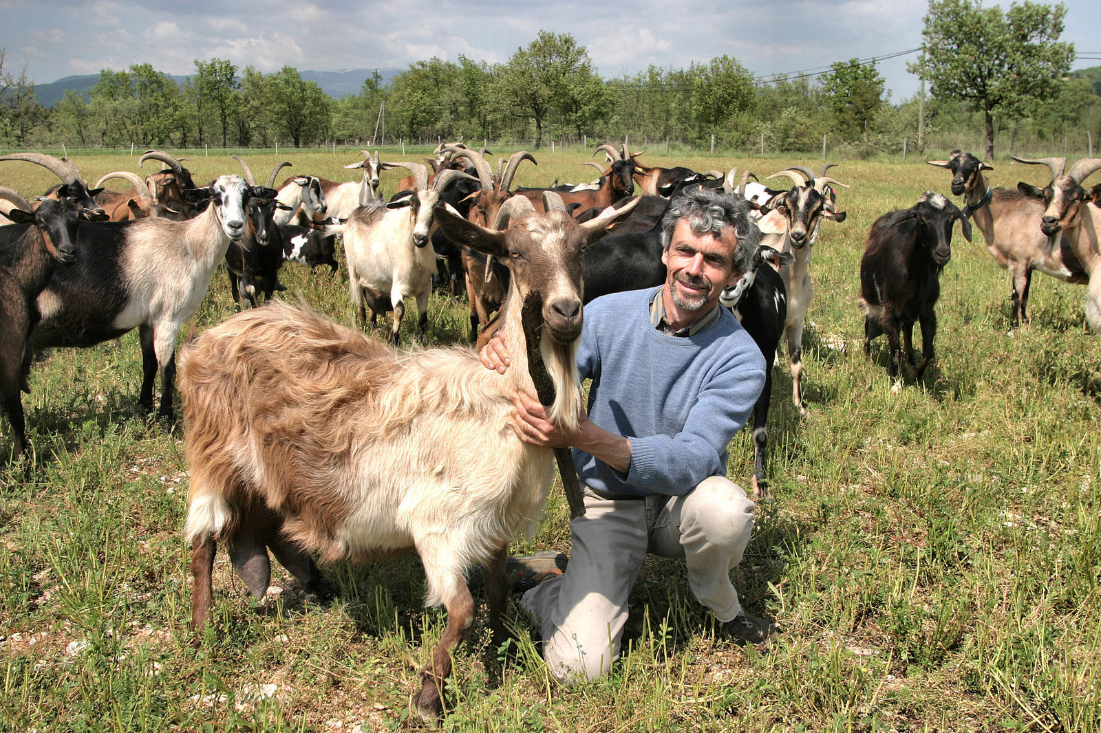 les chevres de joel corbon