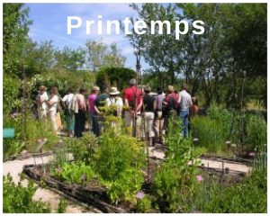 rencontres musicales de haute provence forcalquier