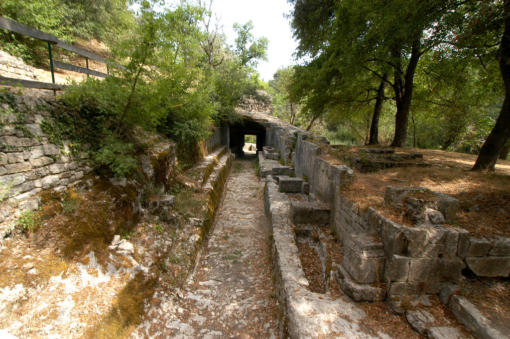 site de carluc