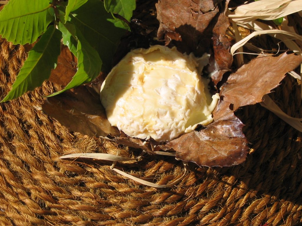 fromage de banon