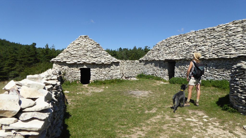Montagne De Lure Haute Provence Tourisme